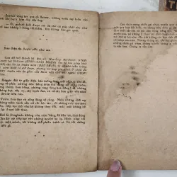 Tiểu thuyết NHỮNG CON CHIM ẨN MÌNH CHỜ CHẾT - Nữ nhà văn Colleen McCullough 711585