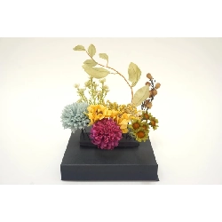 Băng đô - Hàng hiệu Authentic