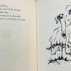 Thơ Minh Thanh, nhiều phụ bản màu, in đặc biệt 590999