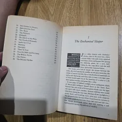 The amber spyglass  1012822