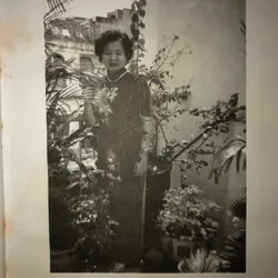 Thơ Từ Dung tuyển tập 658330