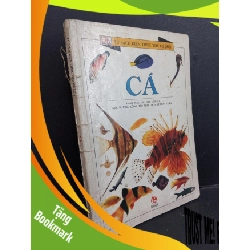 (TẶNG BOOKMARK) Tủ sách kiến thức thế hệ mới cá mới 70% ố rách gáy ẩm 2007 RBK1001 Steve Perker KHOA HỌC ĐỜI SỐNG