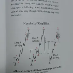 HƯỚNG DẪN GIAO DỊCH THEO SÓNG ELLIOTT 565444