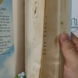 Nhật Bản Đến Và Yêu - Dương Linh 798355