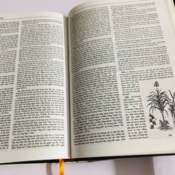 📚 TỪ ĐIỂN BÁCH KHOA VIỆT NAM – TẬP 2 539013
