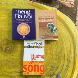 COMBO TIẾNG HÀ NỘI, NGÔN NGỮ VĂN HOÁ HÀ NỘI, HÀ NỘI HƯỚNG NÀO CŨNG SÔNG