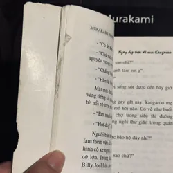 Combo 2 tác phẩm Murakami 597817