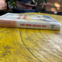 CÂU CHUYỆN NHÂN QUẢ- TÙNG THƯ TỊNH ĐỘ TÔNG 538249
