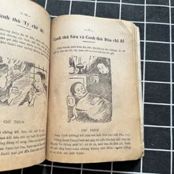 Cao ly đầu hình 592318