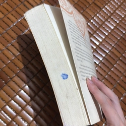 Nghiệp tình yêu - Geshe Michael Roach  518912