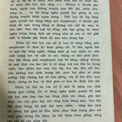 Bộ sách 10 vạn câu hỏi vì sao? 🌊 714062