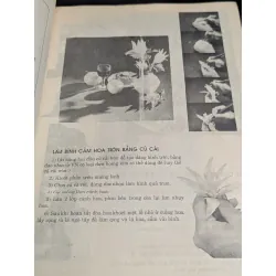 Nghệ thuật tỉa rau củ - Triệu Thị Chơi