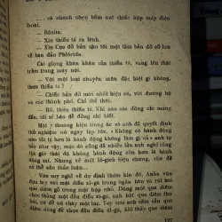 Bóng chim câu trên sóng biển Maiami - Danien Chavaria 789050