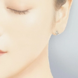 Bông tai kim cương hoa PT900 - Hàng hiệu Authentic 868058