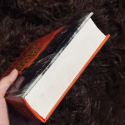 Tiếng chim hót trong bụi mận gai 992156