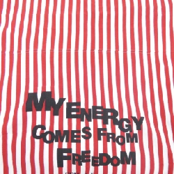 COMME des GARCONS STOLE - Hàng hiệu Authentic 834885