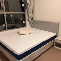 Nệm foam Foam Comfy dày 20cm, KT 1,6x2m 726984