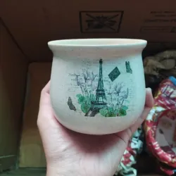 Chậu trồng sen đá