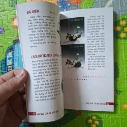 Nghệ thuật Cắm hoa Nhật Bản 1019034