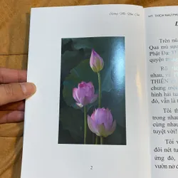 Sương Mù Non Cao - HT Thích Như Phước Tú 605412