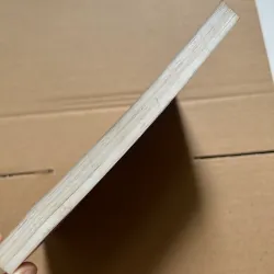 Dám dẫn đầu 997055