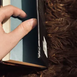 Tàn ngày để lại (đọc mô tả) 780363