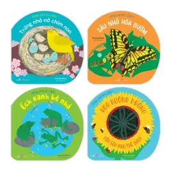 Vòng Đời Kỳ Diệu - Hoa Hướng Dương Lớn Lên Như Thế Nào?  753555