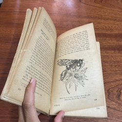 II Sách Xưa: Tìm Hiểu Thế Giới Màu Xanh - Trần Hợp, Vũ Văn Chuyên - 1977 503843