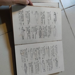 Danh từ đối chiếu tên các loài cá có giá trị kinh tế ở miền tây thái bình dương  477157