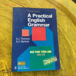 COMBO TỰ HỌC 20 CHỦ ĐỀ TỪ VỰNG TIẾNG ANH (bảng từ) & A PRACTICAL ENGLISH GRAMMAR  779019