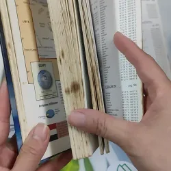 Webster's International Atlas 990493