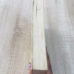 Thời Thanh Xuân Đã Xa  974755