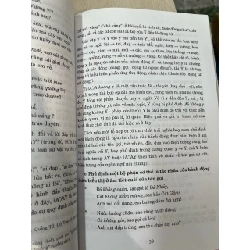 Nghệ thuật chơi chữ trong văn chương người Việt - Triều Nguyên 752037