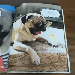 Doug the Pug - King of the Internet - Leslie Mosier 697452