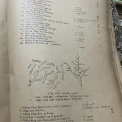 Một số phương pháp nghiên cứu sinh vật học 2 -320 trang khổ lớn;1976 1009228