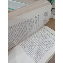 The look you like - Linda Allen 703756