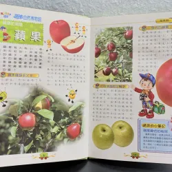 Mua 1 tặng 1 - [Tiếng Trung] Bộ sách Noddy 自然博物館 – Tự nhiên học cho bé 933951