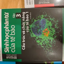 Sách Sinh học phân tử của tế bào - Tập 1, 2, 3, 5 đầy đủ bộ 589439
