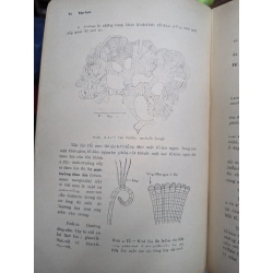TẢO HỌC - PHẠM HOÀNG HỘ 191586