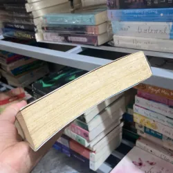 Vì em là vợ anh - Lan Rùa 961652