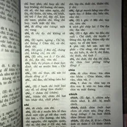 Từ điển đồng âm tiếng Việt  731490