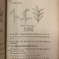 VẠN VẬT HỌC LỚP MƯỜI MỘT A - ĐỖ DANH TẦM & NGUYỄN VĂN LONG 718338