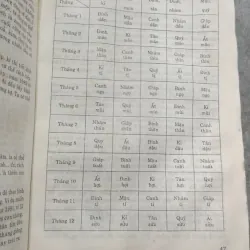 DỰ ĐOÁN THEO TỨ TRỤ - THIỆU VĨ HOA 786051