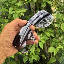 Mắt kính thời trang Sean John 653868