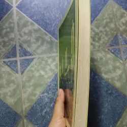 Bỉ vỏ - Nguyên Hồng 1025900