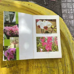 COMBO TRỒNG HOA CÂY CẢNH TRONG GIA ĐÌNH & KỸ THUẬT TRỒNG HOA LAN 929941