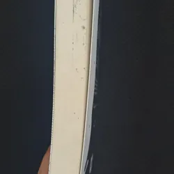 Thiên tài bên trái, kẻ điên bên phải - Cao Minh 722285