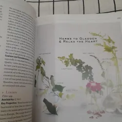 Sách màu t.Anh- CÂN BẰNG CƠ THỂ BẰNG THẢO MỘC- BODY BALANCE HERBAL GUIDE. Tg. M. Grove 706840