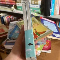 Nếu gặp lại em trên ngọn đồi hoa nở  695710