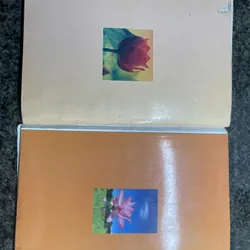 Isan không dấu chân trên trời xanh, Cuộc sống tình yêu và tiếng cười Osho 735780